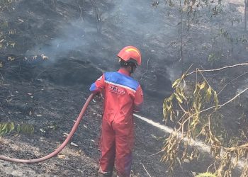 Nyaris Sambar Pemukiman, Karhutla 4 Hektare di KM 26 Batuah Berhasil Dipadamkan Tim Gabungan