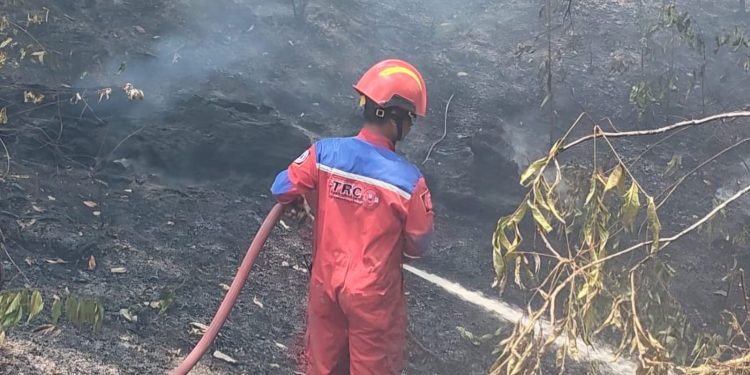 Nyaris Sambar Pemukiman, Karhutla 4 Hektare di KM 26 Batuah Berhasil Dipadamkan Tim Gabungan