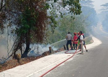 Sempat Kehabisan Pasokan Air, Karhutla Bukit Soeharto Hanguskan Belasan Hektare Hutan dan Belukar