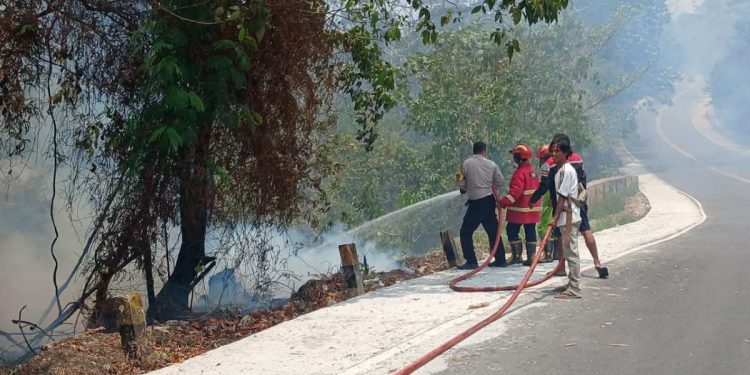Sempat Kehabisan Pasokan Air, Karhutla Bukit Soeharto Hanguskan Belasan Hektare Hutan dan Belukar